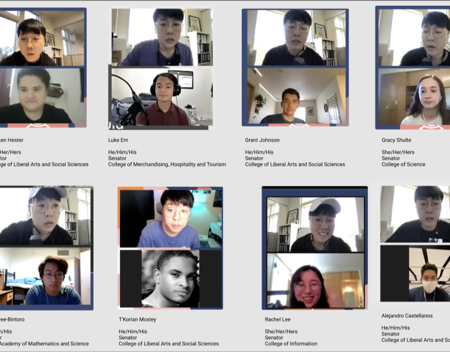 UNT Government — Overview