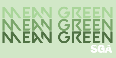 UNT Government — Process